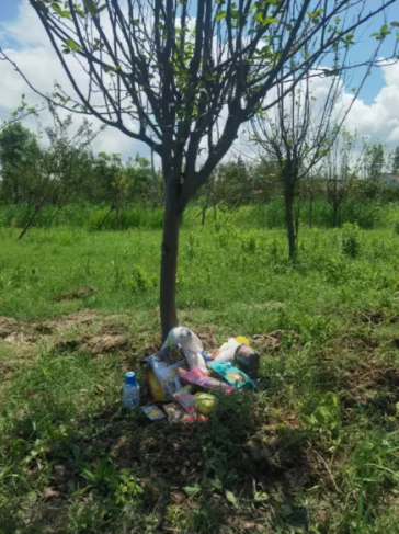 图片[3]-宠物殡葬项目操盘-延伸资料星球-知计