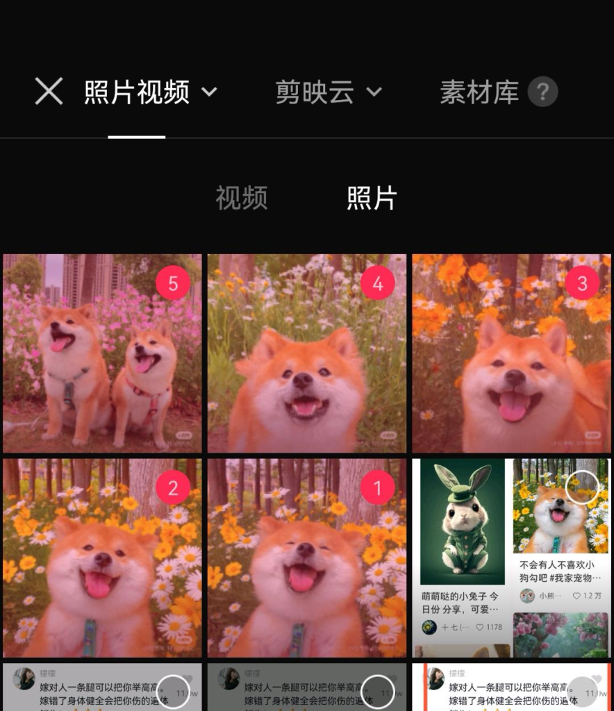 图片[15]-手把手教你：如何不花一分钱10天涨满抖音1000粉？-知计