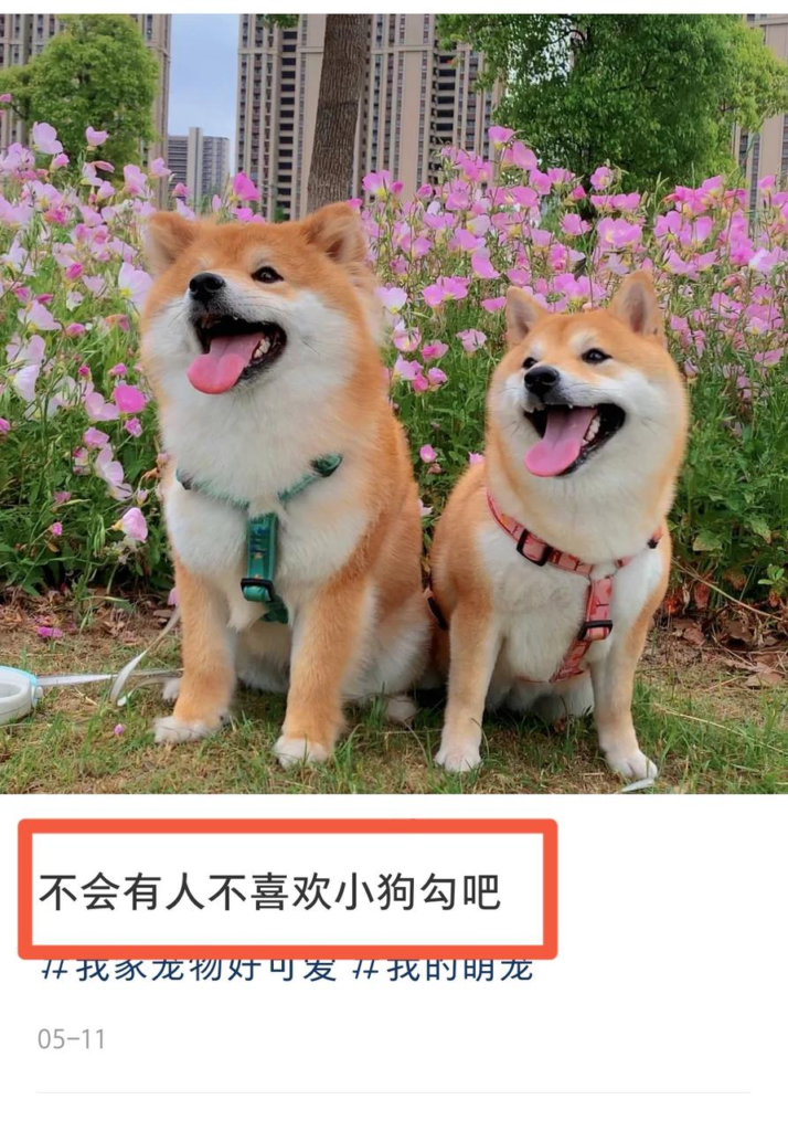 图片[16]-手把手教你：如何不花一分钱10天涨满抖音1000粉？-知计