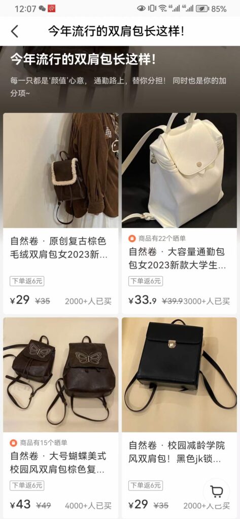 图片[4]-【23.12.8】小红书平价包包-知计