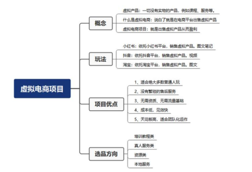 小红书蓝海虚拟电商项目 | 从0 到1保姆级的实操手册，看完就能做！-知计