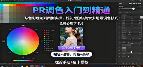 PR调色入门到精通:从色彩理论到案例实操,婚礼/医美/美食多场景调色技巧-知计