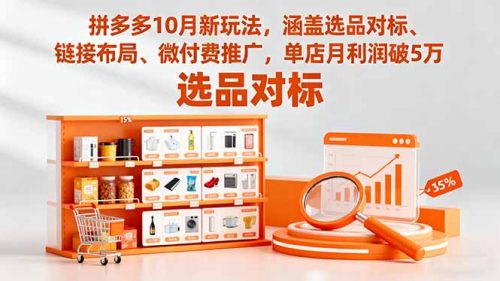 拼多多10月新玩法,涵盖选品对标、链接布局、微付费推广,单店月利润破5万-知计