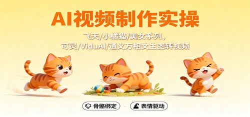 AI视频制作实操,飞天/小橘猫/美女系列,可灵/ViduAl/通义万相文生图转视频-知计