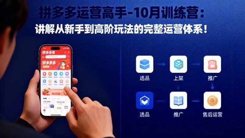 拼多多运营高手-10月训练营:讲解从新手到高阶玩法的完整运营体系!-知计