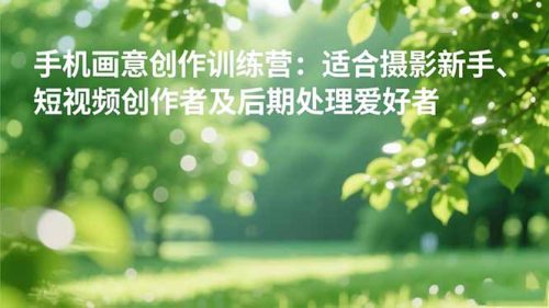 手机摄影之画意创作训练营:适合摄影新手、短视频创作者及后期处理爱好者