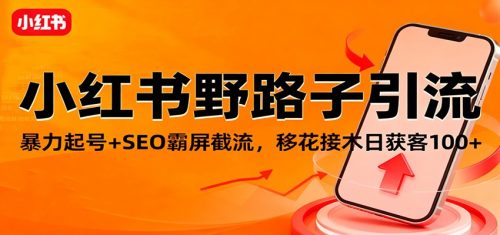 小红书野路子引流,暴力起号+SEO霸屏截流,移花接木日获客100+-知计