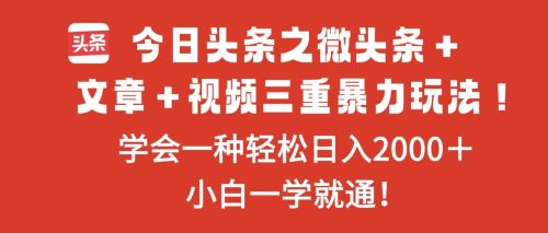 今日头条之微头条＋文章＋视频三重暴力玩法，学会一种轻松日入2000＋，…-知计