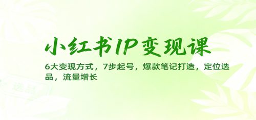 小红书IP变现课：6大变现方式，7步起号，爆款笔记打造，定位选品，流量增长