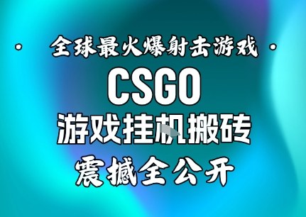 【年底大揭秘】基于全球最火爆的射击CSGO游戏挂G搬砖，日入5张+，震撼公开-知计
