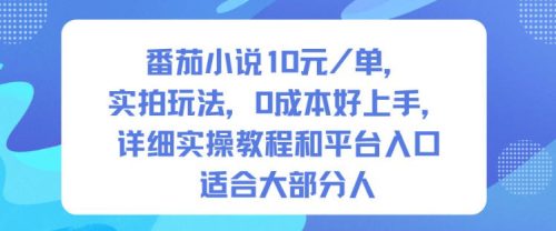 番茄小说10米每单，实拍玩法，0成本好上手，详细实操教程和平台入口适合大部分人-知计