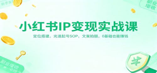 小红书IP变现实战课：定位搭建，光速起号SOP，文案拍摄，0基础也能赚钱-知计