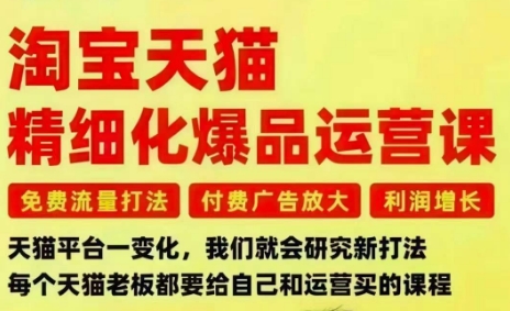 淘宝天猫精细化爆品运营课，免费流量打法-付费广告放大-利润增长-三大核心痛点，一次全部解决-知计