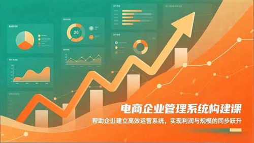 电商企业管理系统构建课：帮助企业建立高效运营系统，实现利润与规模的同步跃升-知计