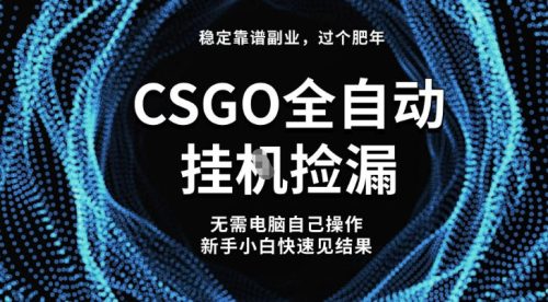 【稳定副业】全球最热门游戏CSGO全自动捡漏，最新玩法，新手小白日入5张+【揭秘】-知计