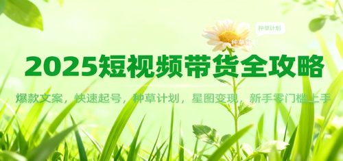 2025短视频带货全攻略：爆款文案，快速起号，种草计划，星图变现，新手零门槛上手-知计