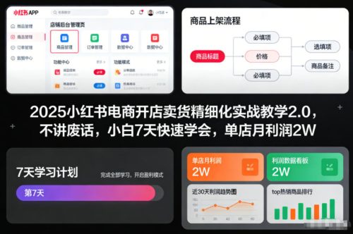 2025小红书电商开店卖货精细化实战教学2.0，不讲废话，小白7天快速学会，单店月利润2W-知计