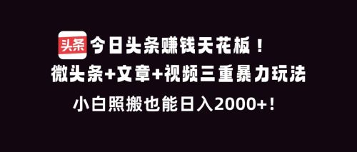 今日头条赚钱天花板!微头条+文章+视频三重暴利玩法,小白照搬也能日人2000+-知计