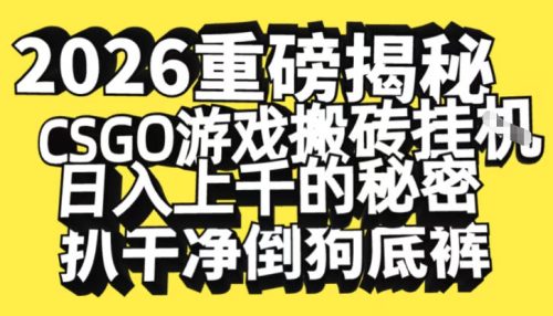 2026开年重磅解密，CSGO游戏搬砖挂G日入1k+的秘密，把倒狗的底裤扒干【揭秘】-知计