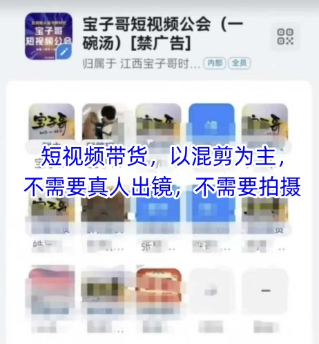 宝子哥头部团队短视频带货，以混剪为主，不需要真人出镜，不需要拍摄【更新11月】-知计