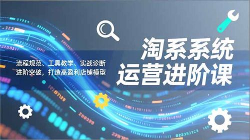 淘系系统运营进阶课2.0，流程规范、工具教学、实战诊断，进阶突破，打造高盈利店铺模型-知计