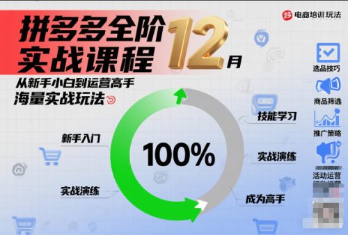 拼多多全阶实战课程12月，从新手小白到运营高手，海量实战玩法-知计