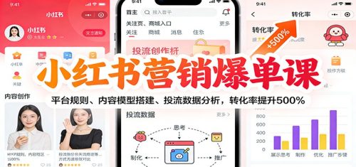 小红书营销爆单课：平台规则、内容模型搭建、投流数据分析，转化率提升500%-知计