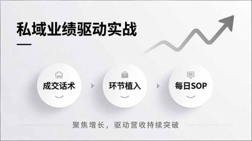 私域业绩驱动实战，成交话术、环节植入、每日SOP，聚焦增长，驱动营收持续突破