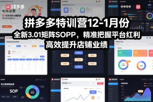 拼多多特训营12-1月份,全新3.01矩阵Sop,精准把握平台红利,高效提升店铺业绩