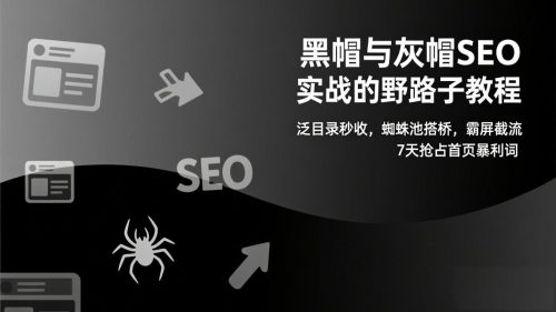 黑帽与灰帽SEO实战的野路子教程：泛目录秒收，蜘蛛池搭桥，霸屏截流，7天抢占首页暴利词