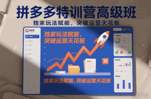 拼多多特训营高阶班,独家玩法赋能,突破运营天花板(更新26年1月)-知计