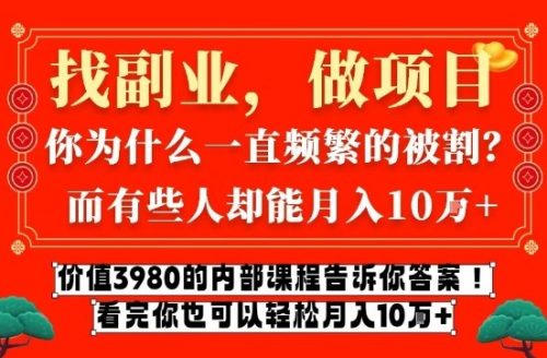 价值3980的网创内部课程，告诉你互联网创业月入10个W的秘密【揭秘】-知计