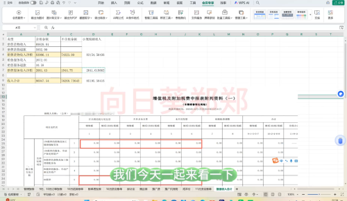 郑老师·电商财务系统课程