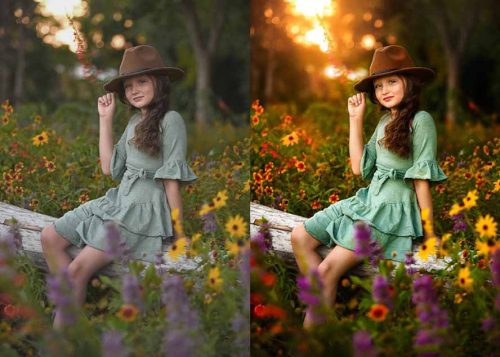 大师级GTG出品-老友记系列AI自适应预设The Friends Preset Collection